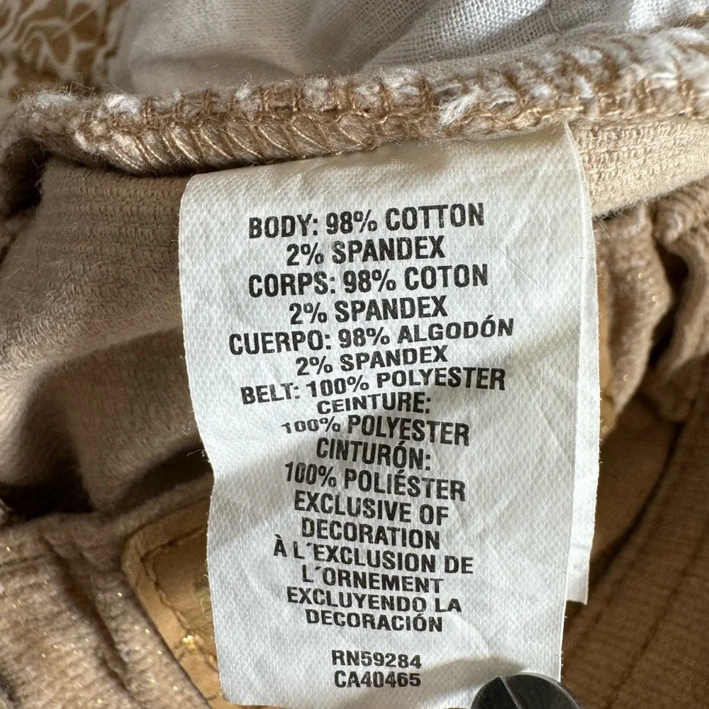 The Children’s Place light tan with gold glitter corduroy pants. Girls size 3T